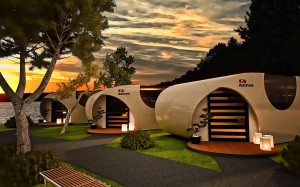 shell_sunset
